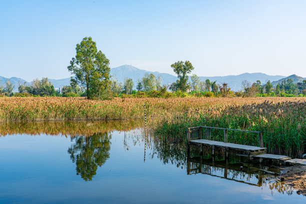 香港山野