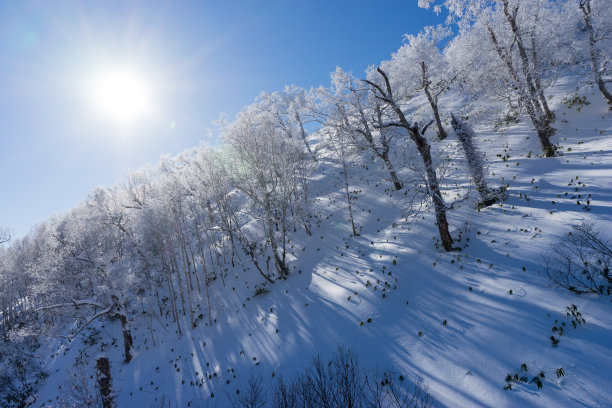 大雪时节