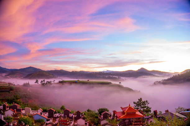 密林中的落日夕阳美景