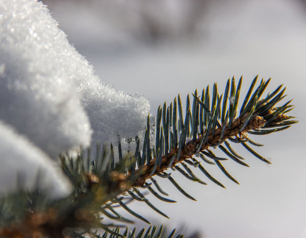 积雪寒冷小雪小寒大寒