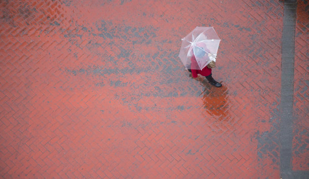 雨伞散步