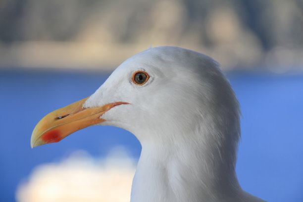 阳光强烈