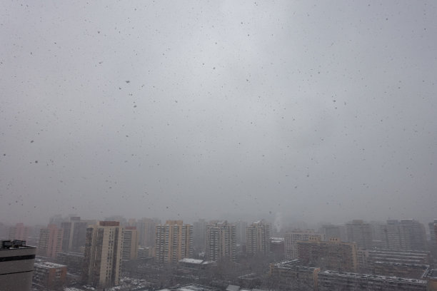 北京的雪景