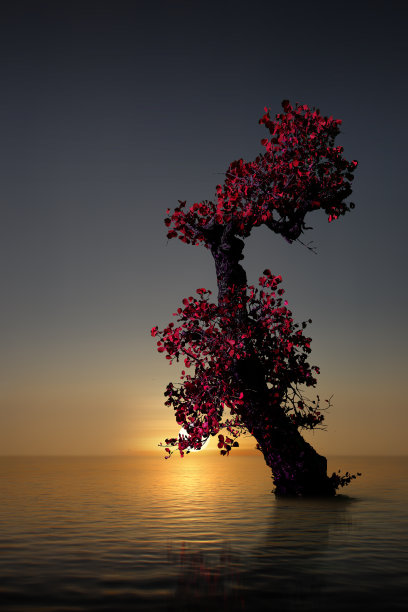 大海之树