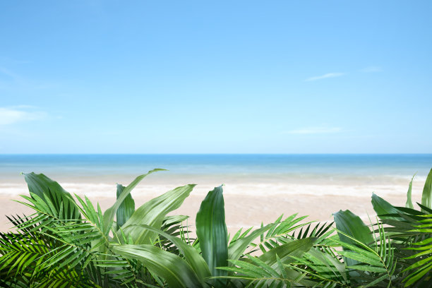 海边小浪花特写镜头素材