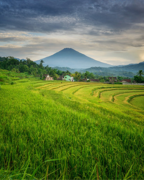 乡村美景