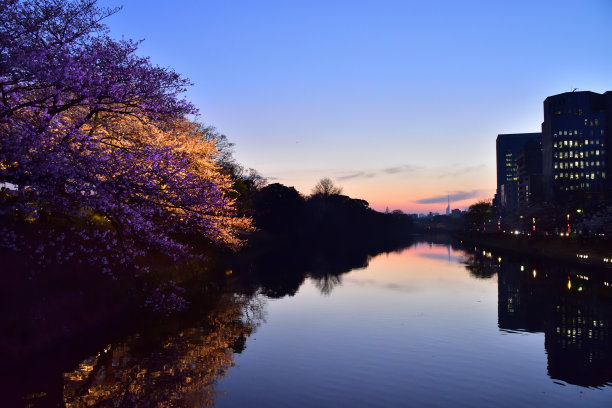 樱花湖水