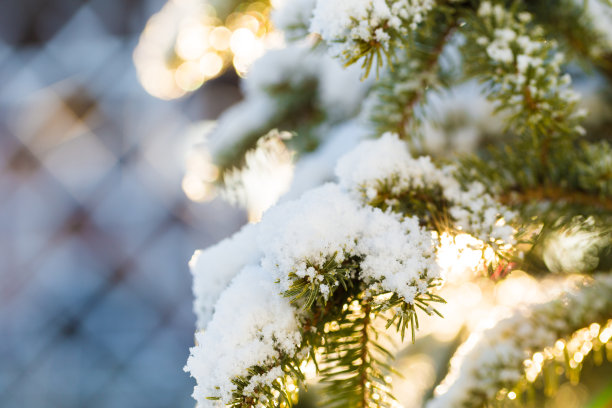 小雪清爽