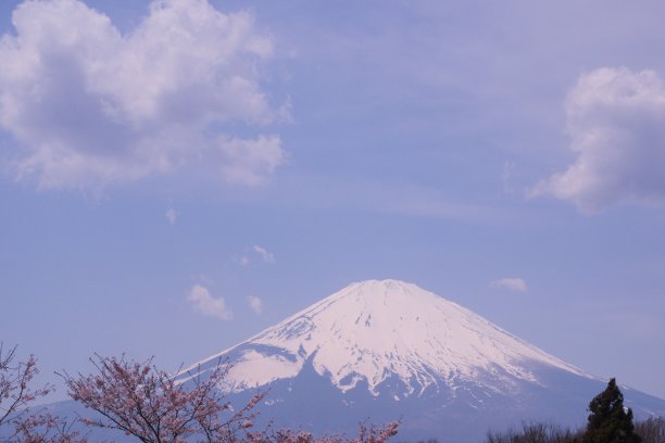 巅峰钜惠