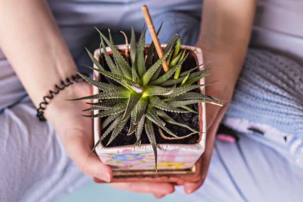 植物保护环境概念图