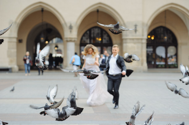 婚礼新人和白鸽