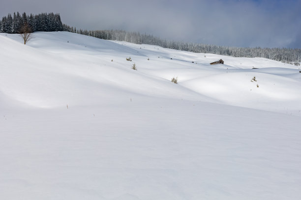 冬季雪原民居森林