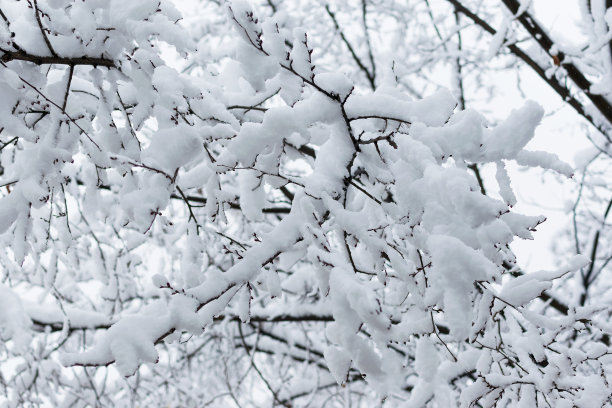 积雪寒冷小雪小寒大寒