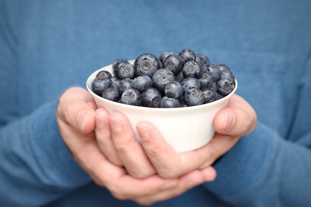 成熟的蓝莓