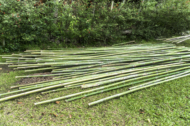 竹堆