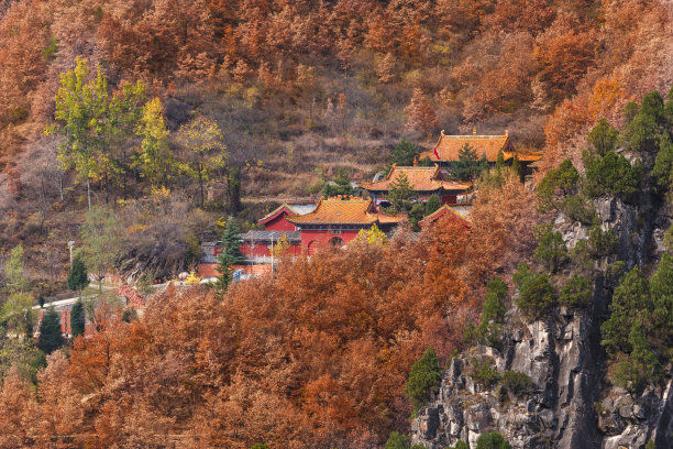 文明建设绿植墙