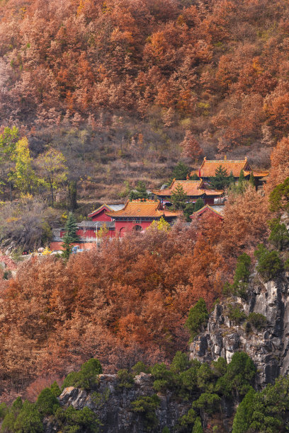 文明建设绿植墙