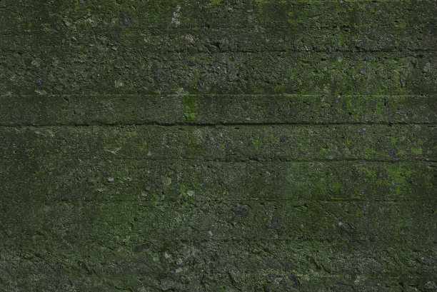 建筑工地绿植墙