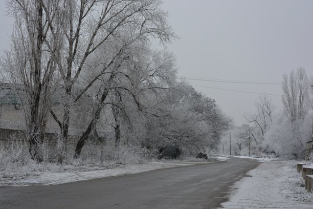 雪地里笔直的公路