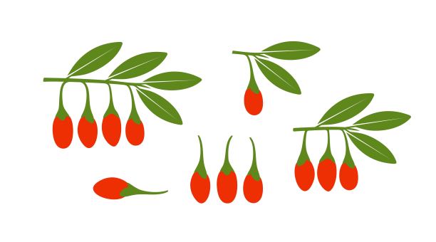 天然有机食品logo