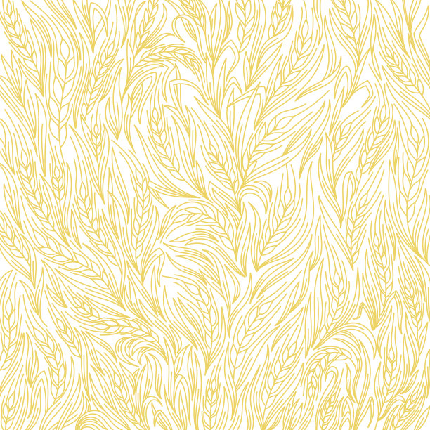 黄金燕麦玉米