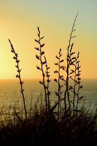 海边自然风光摄影高清图片