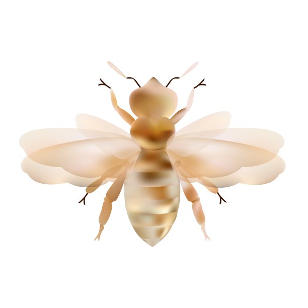 小蜜蜂logo