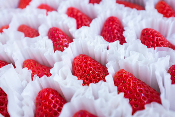 草莓盒
