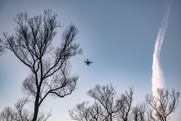 乌克兰航空