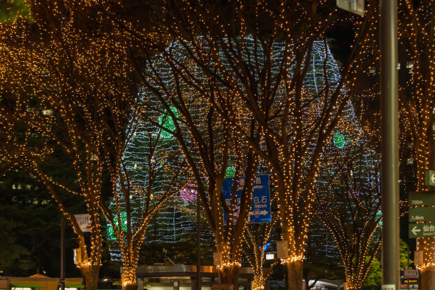 城市树灯装饰