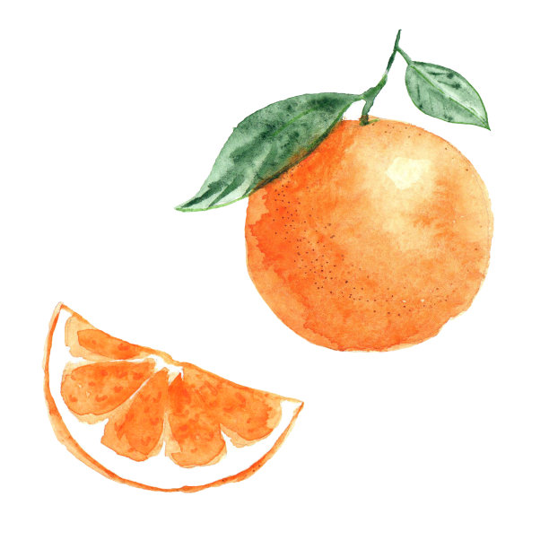 橙子海报背景
