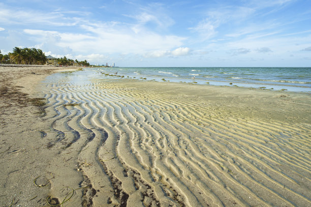 沙灘海岸