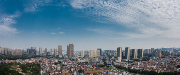 运动馆风景