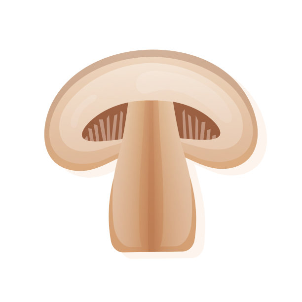 蘑菇设计
