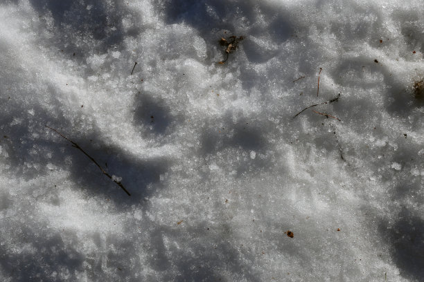 小雪清爽