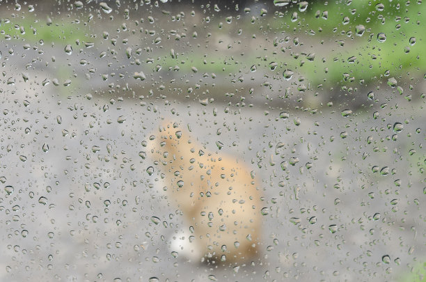 窗外暴雨