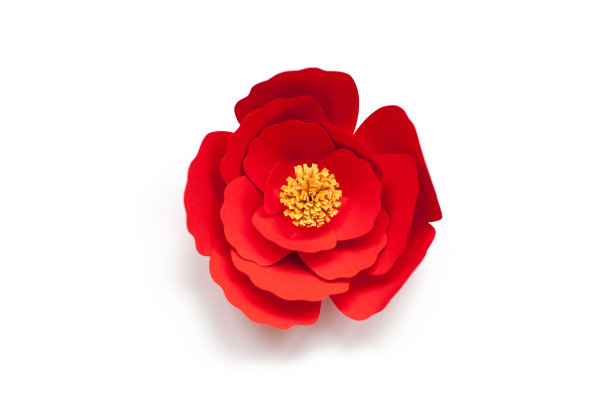 红色玫瑰花抠图素材