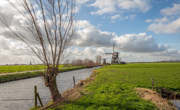 著名荷兰风车