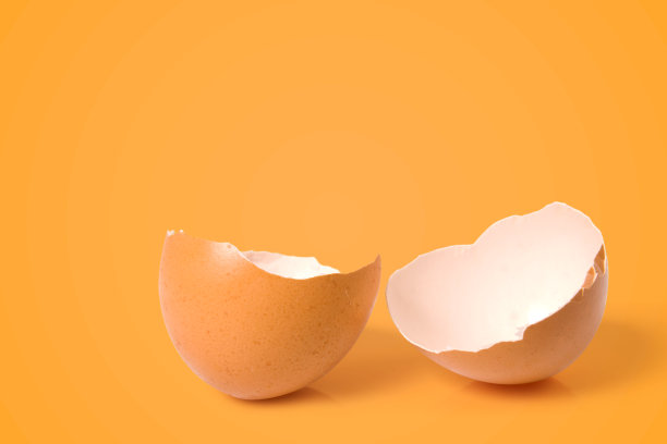 蛋壳概念图