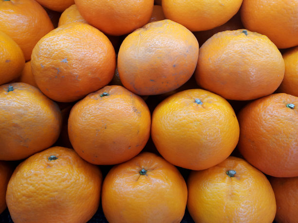橙子背景图