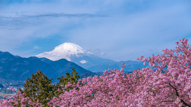 春日富士山