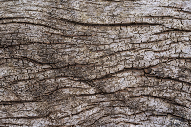高清实木自然木纹