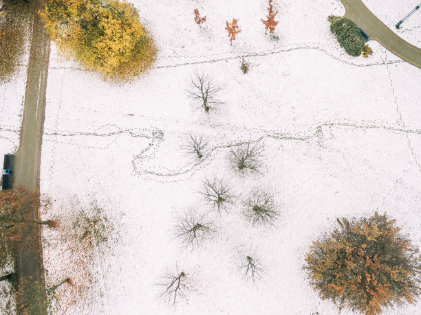 秋分霜降小雪冬大寒