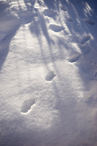 雪花点