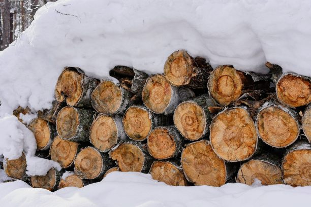 雪中的木材