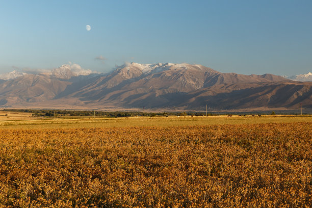 天山旅游