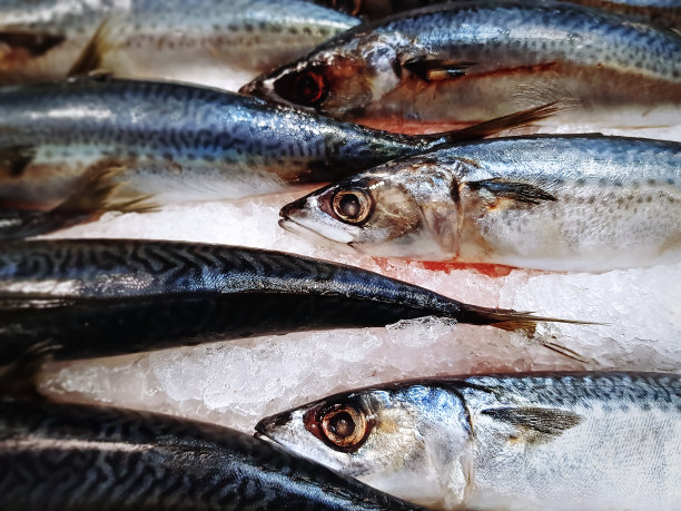 海鲜美食宣传