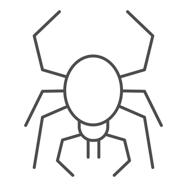 蜘蛛和蜘蛛网矢量插画