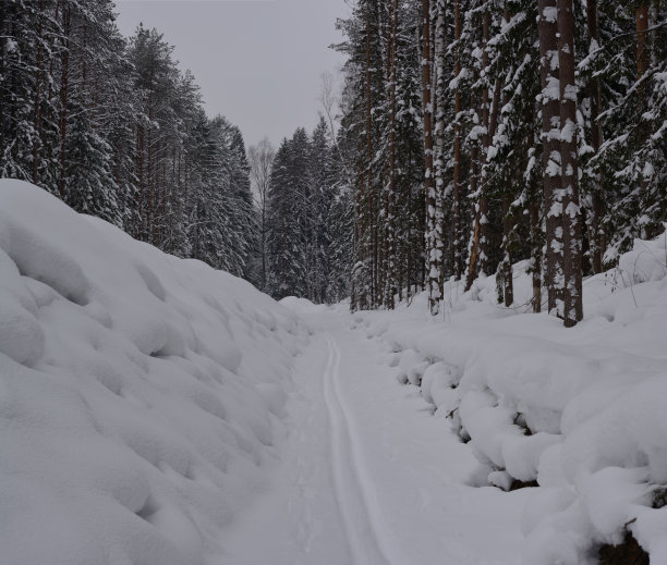 穿越冰雪