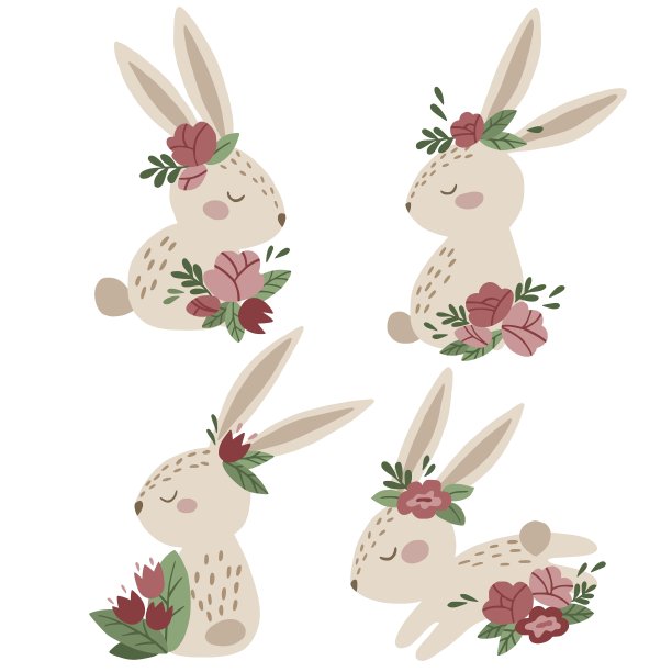 兔子牡丹花